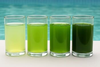 Yosun tonları: açık yeşilden koyu yeşile örnek yüzeyler