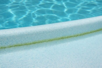 Kenar hattında ince yosun halkası — fırça ihtiyacı