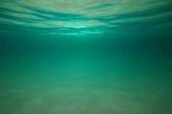 Su altında yeşilimsi ton geçişi: turkuaz yansıma